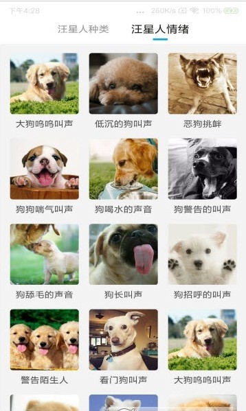动物翻译器新版安卓截图3