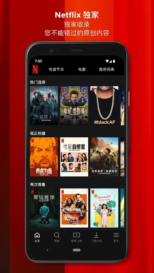 netflix安卓版截图2