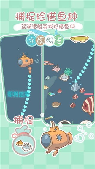 水族物语大鱼缸