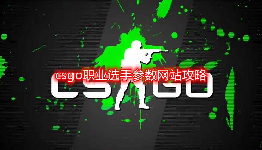 csgo职业选手参数网站攻略