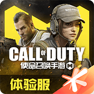 cod19自制版diy视觉站