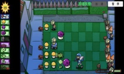 pvzsf吸血朝阳花