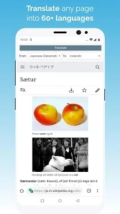 kiwi浏览器苹果版