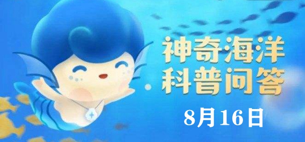 神奇海洋今日答案8.16：以下哪种海洋动物拥有10只触手