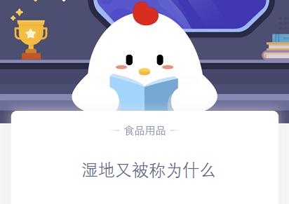 湿地又被称为什么