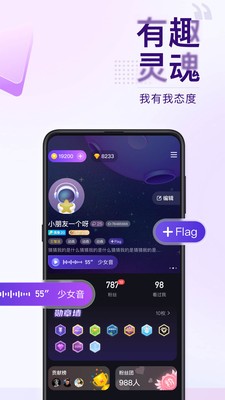 Flag截图1