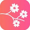 桃花相机app