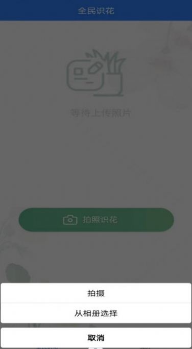 全民识花app官方版