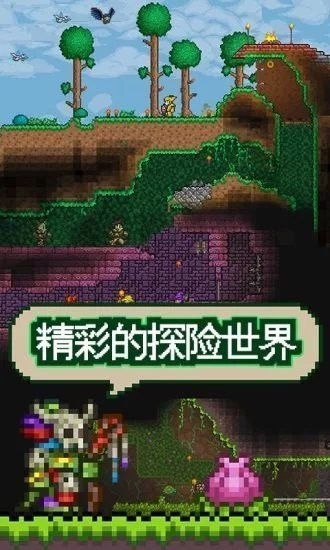 泰拉瑞亚国服免费版(TERRARIA)