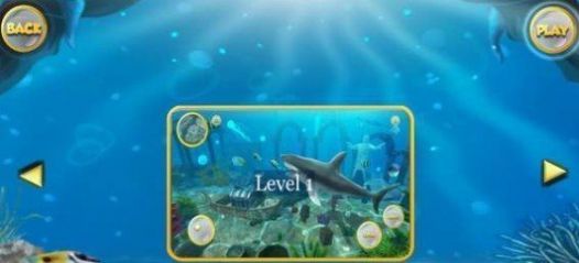 深海大白鲨1