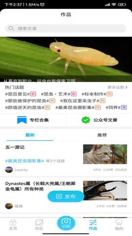 昆虫百科截图2