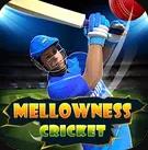 Mellowness Cricket