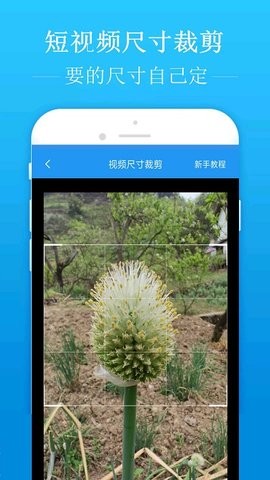 去水印吧最新免费版APP