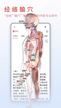 3dbody6.0中文版截图1