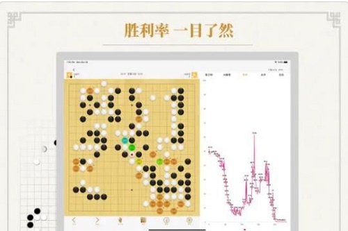 围棋有道截图2