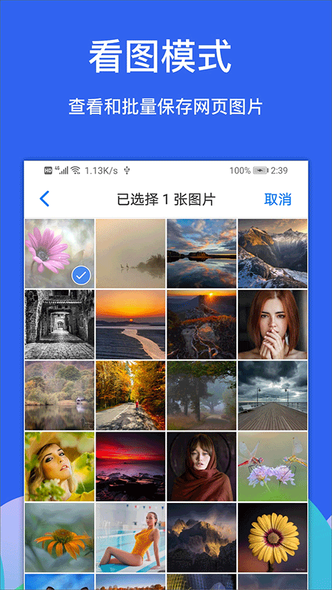 Alook浏览器app