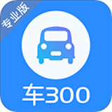 车300专业版