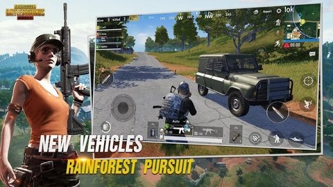 pubg绿体安装包2.6截图2