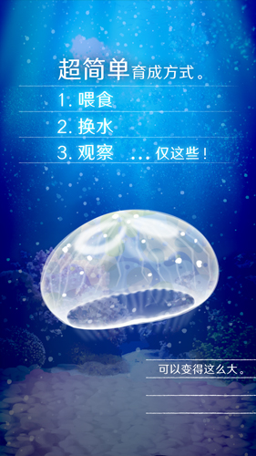 养育水母的治愈中文版
