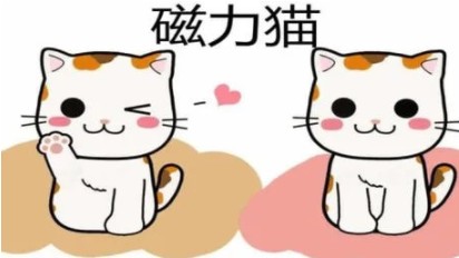 磁力猫搜索引擎