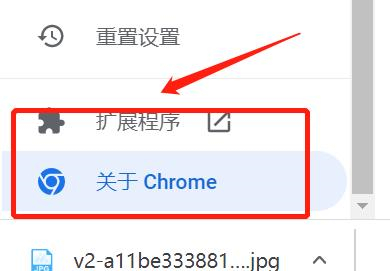 谷歌浏览器google chrome最新版下载安卓版2024