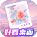 好看桌面app