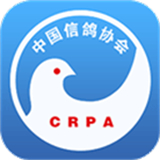 中国信鸽协会下载