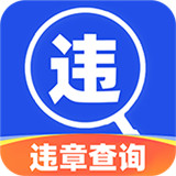 驾驶违章查询app