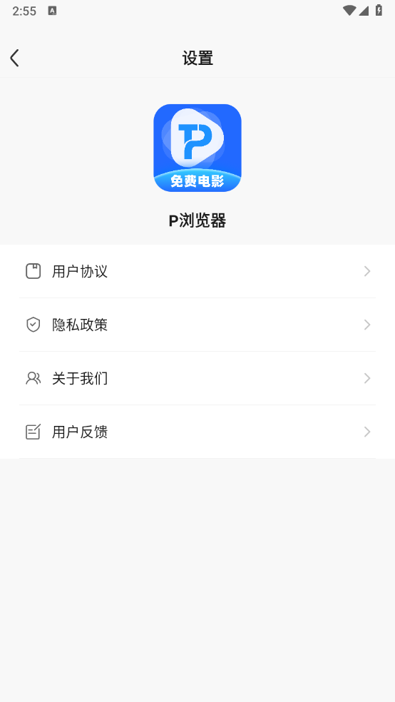 P浏览器截图2