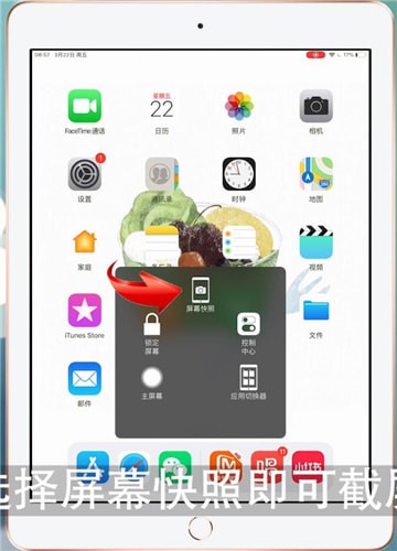 iPad怎么截图