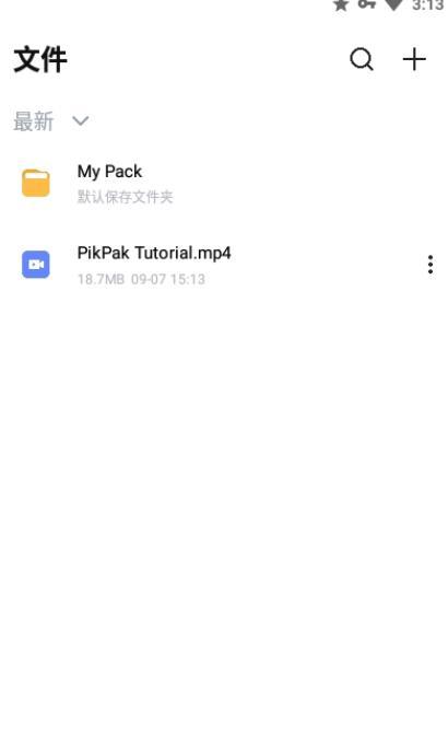 PikPak19043