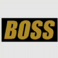 boss视频1.0