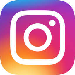instagram社交网入口