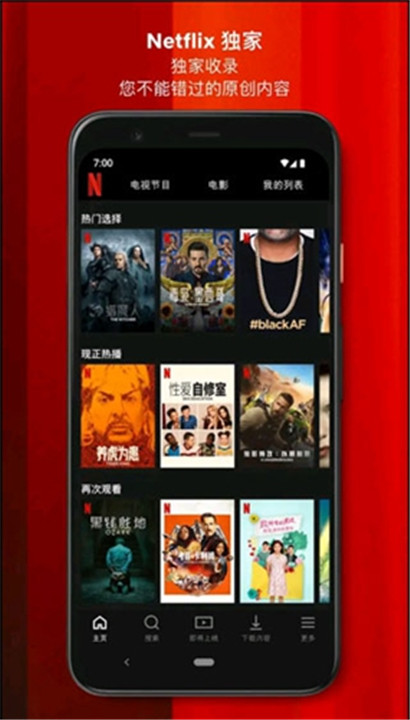 netflixapp截图3