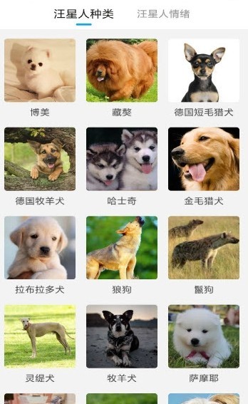 动物翻译器新版安卓