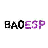 baoesp辅助器卡密