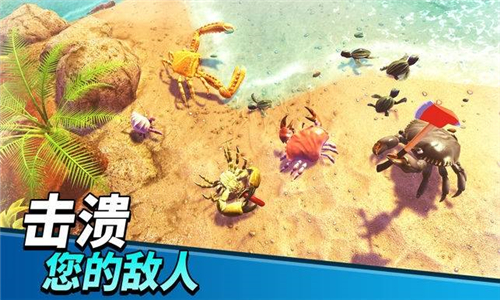 螃蟹之王中文版截图4