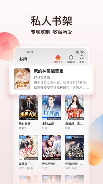 点众阅读小说app截图2