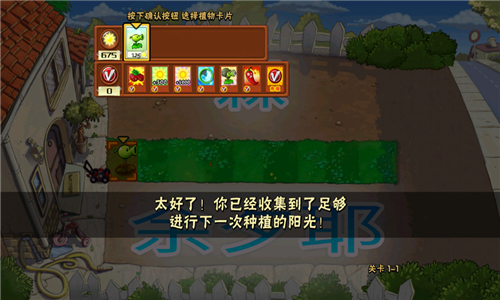 pvz夏版截图