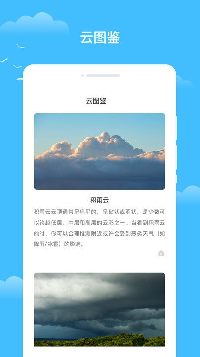 知你天气最新免费版截图3