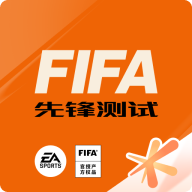 FIFA足球世界测试服