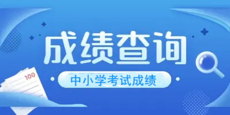 中小学生查成绩