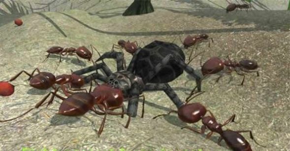 3d蚂蚁模拟器2