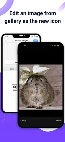 XIconChanger苹果版2