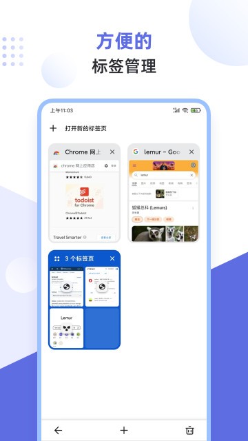 lemur浏览器官网版截图2