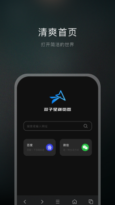 双子星浏览器ios手机版