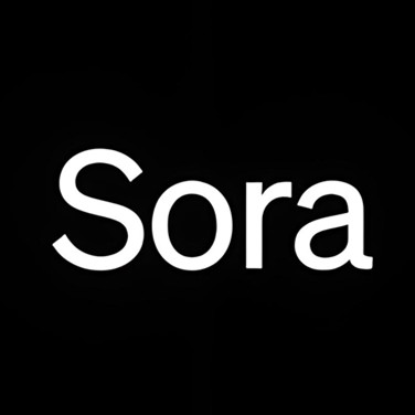 Sora软件下载-Sora软件官方正版免费下载v1.0
