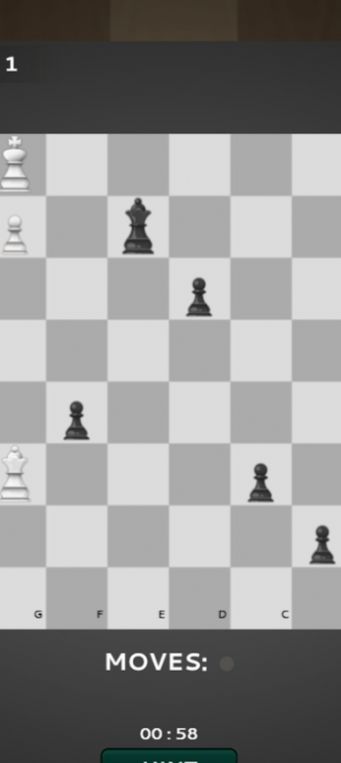 国际棋的狂热2