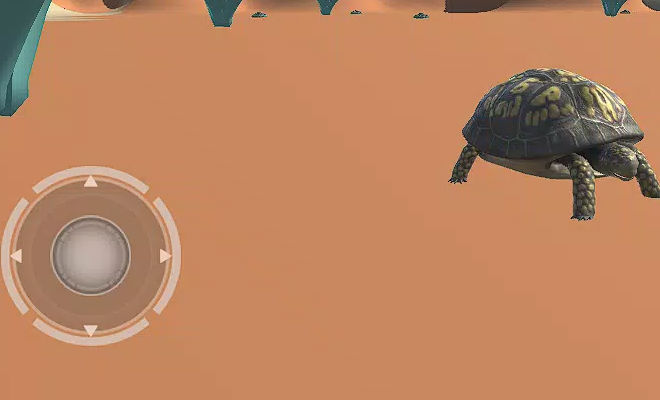 海龟模拟器1
