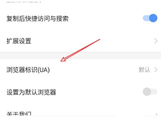 搜狗浏览器极速版下载安装手机版设置访问电脑版本的网页方法截图3